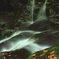 大原野の流れ