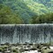 秋を探して
