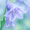 静かなひと・・・♡
