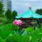LRM_EXPORT_20170814_222009