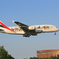 ✈　エミレーツ特別塗装A380 動物愛護機　✈