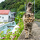 おはよ～です