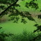 五色沼