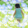 花の中へ。。