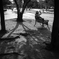 bench no.36