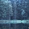 雨上がり