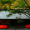 鮎司 平野屋５