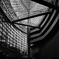 Silhouette in Tokyo International Forum