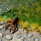 DSCF0924