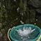 海老川の源流