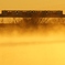 黄金色の川霧に浮かぶモノレール