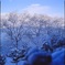 IMG_南びわ湖の雪景20170705_0009
