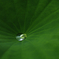 a drop