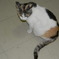 DSCN1367