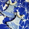 Blue Muumuu