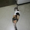 DSCN1356