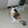 DSCN1358