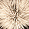 FireWorks #05
