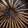 FireWorks #03