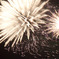 FireWorks #02