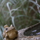 梅雨の終わり