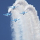 三沢基地航空祭'17-11 ブルーインパルス