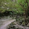 ARASHIYAMA 001