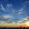 TOKYO BAY1