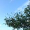 _20170912_171430