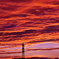 赤雲