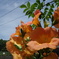 DSC01328