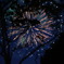 hanabi
