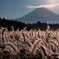 やっと見つけた憧れの場所