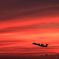 紅の空へ
