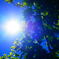 八月のBlue sky
