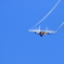大空へ…