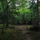 深山巴の宿３