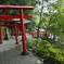 白龍稲荷大神からの風景（海地獄内）