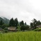 五箇山　相倉集落
