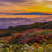 In autumn morning