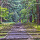 平泉寺白山神社2