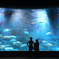 葛西臨海水族園