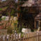 DSCN8944