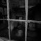 DSCN88857