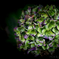 Hydrangea