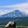 IMG_2775a