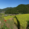 Asuka Village