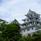 郡上八幡城
