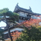 丸岡城