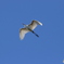 青空